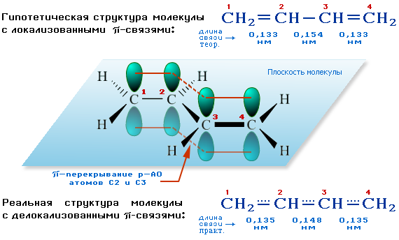 Делокализация связей в молекуле бутадиена-1,3