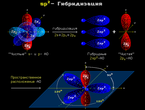 sp2-Гибридизация