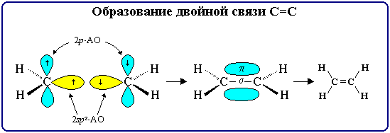 Образование двойной связи C=C
