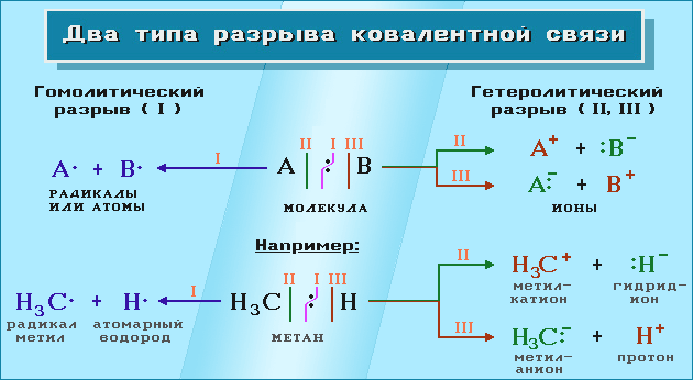 Два типа разрыва ковалентной связи