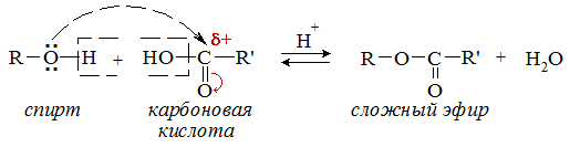 Образование сложных эфиров