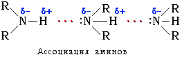 Ассоциация аминов