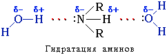 Гидратация аминов