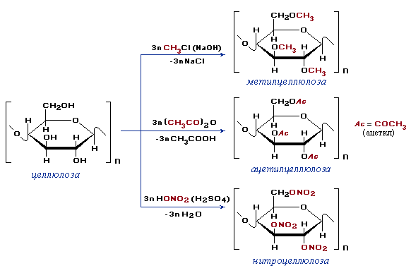Образование эфиров целлюлозы