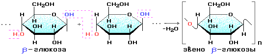 Звенья целлюлозы